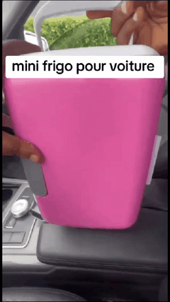 Mini frigo Voiture 4L 12V/220V ❄️